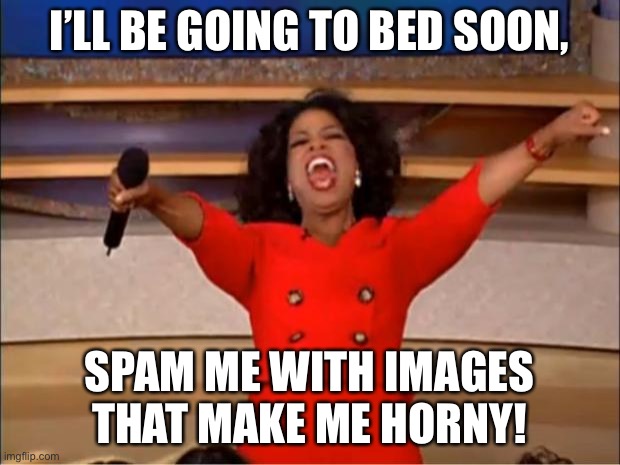 Oprah You Get A | I’LL BE GOING TO BED SOON, SPAM ME WITH IMAGES THAT MAKE ME HORNY! | image tagged in memes,oprah you get a | made w/ Imgflip meme maker