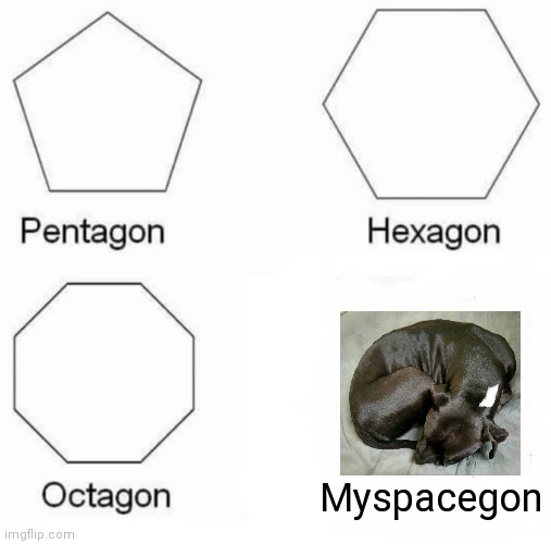 Pentagon Hexagon Octagon | Myspacegon | image tagged in memes,pentagon hexagon octagon | made w/ Imgflip meme maker