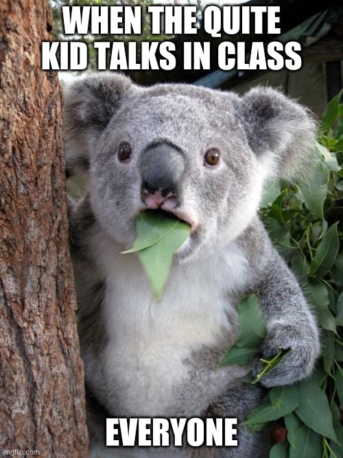 The quite kid | WHEN THE QUITE KID TALKS IN CLASS; EVERYONE | image tagged in memes,surprised koala,quite kid,funny,true,koala | made w/ Imgflip meme maker