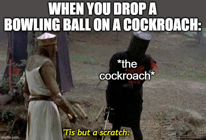 "I did no research, but this is probably accurate." |  WHEN YOU DROP A BOWLING BALL ON A COCKROACH:; *the cockroach*; 'Tis but a scratch. | image tagged in tis but a scratch,cockroach,bowling ball,crusade,drop | made w/ Imgflip meme maker