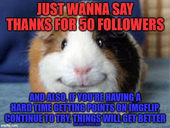 We hit the middle of 100! | JUST WANNA SAY THANKS FOR 50 FOLLOWERS; AND ALSO, IF YOU'RE HAVING A HARD TIME GETTING POINTS ON IMGFLIP, CONTINUE TO TRY, THINGS WILL GET BETTER; AND DON'T UPVOTE BEG | image tagged in happy guinea pig,thanks for followers,happy,lol | made w/ Imgflip meme maker