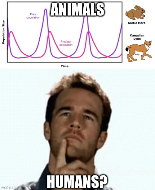 ANIMALS HUMANS? | image tagged in population curve,interesting | made w/ Imgflip meme maker