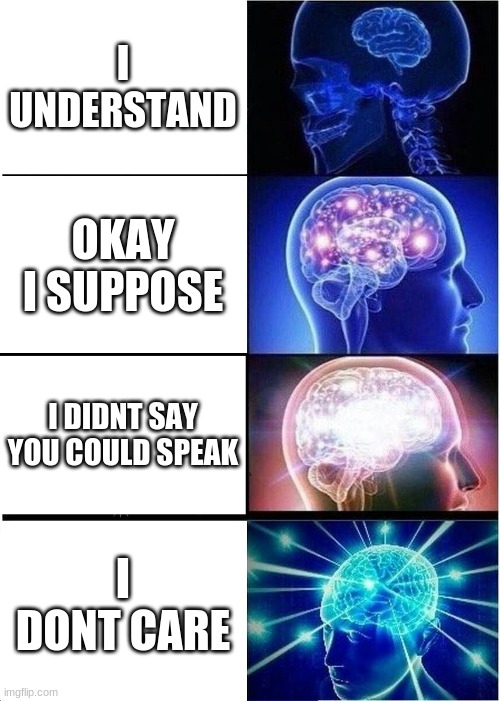 Expanding Brain | I UNDERSTAND; OKAY I SUPPOSE; I DIDNT SAY YOU COULD SPEAK; I DONT CARE | image tagged in memes,expanding brain | made w/ Imgflip meme maker