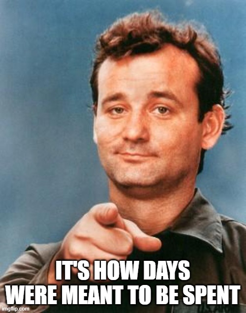 Bill Murray You're Awesome | IT'S HOW DAYS WERE MEANT TO BE SPENT | image tagged in bill murray you're awesome | made w/ Imgflip meme maker