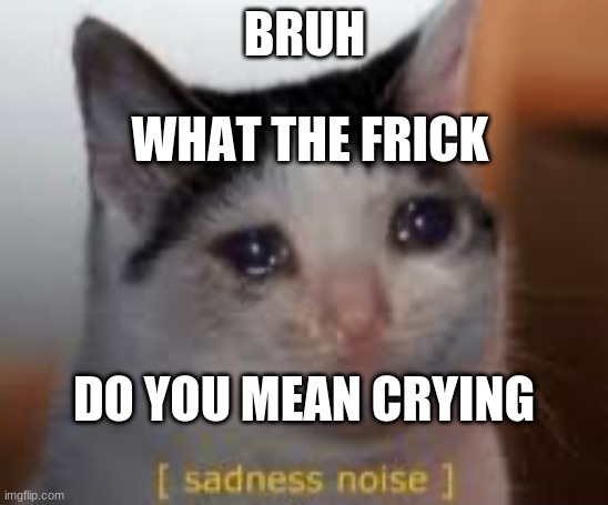 Sadness noises | BRUH; WHAT THE FRICK; DO YOU MEAN CRYING | image tagged in sadness noises | made w/ Imgflip meme maker