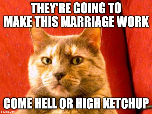 Suspicious Cat | THEY'RE GOING TO MAKE THIS MARRIAGE WORK; COME HELL OR HIGH KETCHUP | image tagged in memes,suspicious cat | made w/ Imgflip meme maker