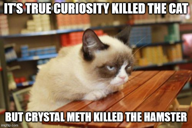 Grumpy Cat Table |  IT'S TRUE CURIOSITY KILLED THE CAT; BUT CRYSTAL METH KILLED THE HAMSTER | image tagged in memes,grumpy cat table,grumpy cat | made w/ Imgflip meme maker