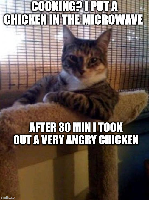 The Most Interesting Cat In The World | COOKING? I PUT A CHICKEN IN THE MICROWAVE; AFTER 30 MIN I TOOK OUT A VERY ANGRY CHICKEN | image tagged in memes,the most interesting cat in the world | made w/ Imgflip meme maker