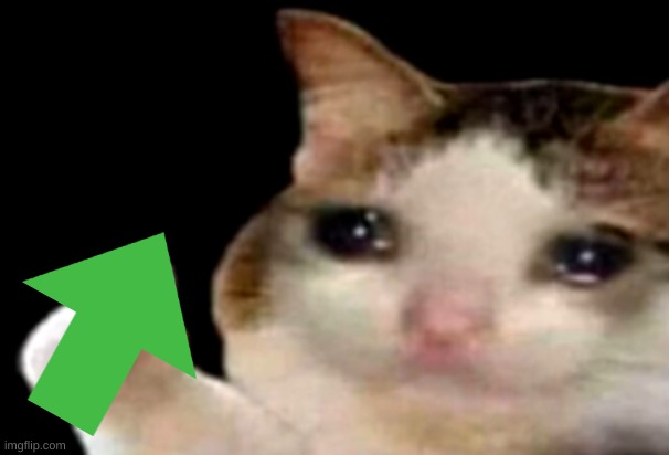 Sad cat thumbs up | image tagged in sad cat thumbs up | made w/ Imgflip meme maker