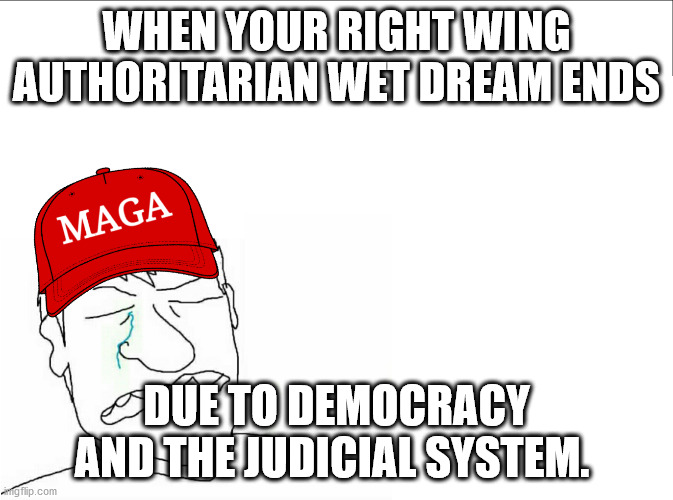 The end of the cult | WHEN YOUR RIGHT WING AUTHORITARIAN WET DREAM ENDS; DUE TO DEMOCRACY AND THE JUDICIAL SYSTEM. | image tagged in republicans,donald trump,trump supporters,election 2020 | made w/ Imgflip meme maker