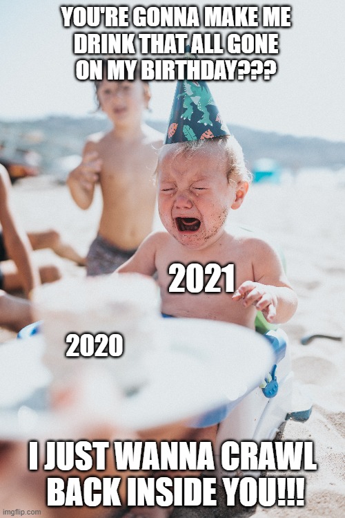 I wonder if she would have room for me too.... |  YOU'RE GONNA MAKE ME
DRINK THAT ALL GONE
ON MY BIRTHDAY??? 2021; 2020; I JUST WANNA CRAWL
 BACK INSIDE YOU!!! | image tagged in memes,funny memes,2020,2020 sucks,2021,new year | made w/ Imgflip meme maker