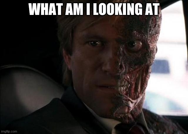 Twoface | WHAT AM I LOOKING AT | image tagged in twoface | made w/ Imgflip meme maker