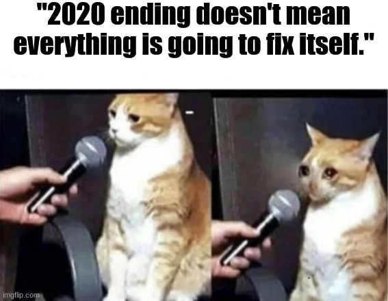 Crying Cat Interview Horizontal | "2020 ending doesn't mean everything is going to fix itself." | image tagged in crying cat interview horizontal | made w/ Imgflip meme maker