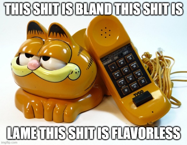 garf #2 | THIS SHIT IS BLAND THIS SHIT IS; LAME THIS SHIT IS FLAVORLESS | image tagged in garfield | made w/ Imgflip meme maker