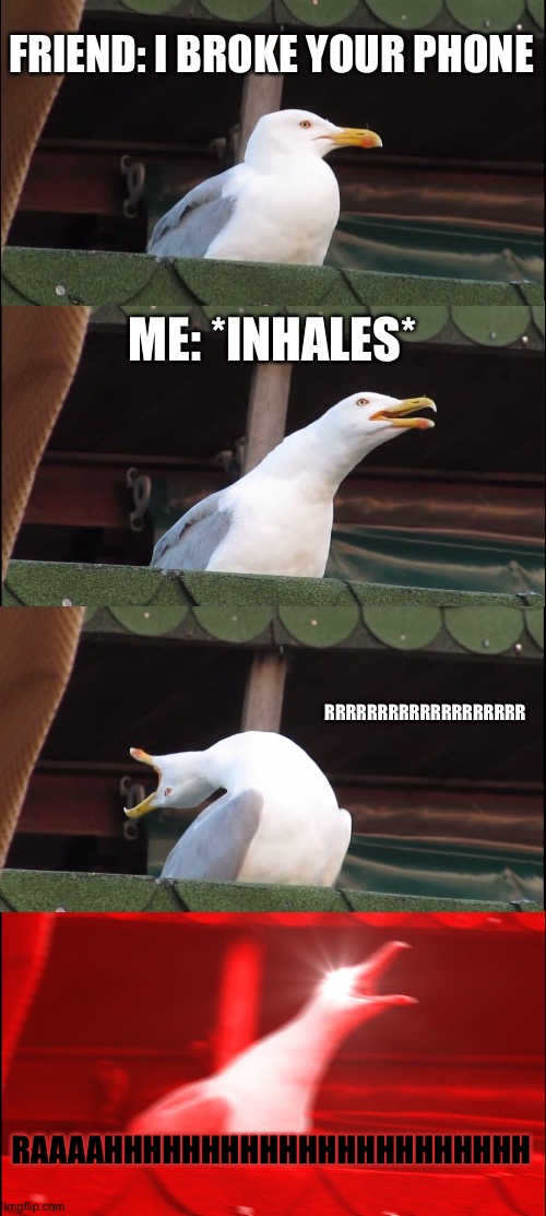 Inhaling Seagull Meme | FRIEND: I BROKE YOUR PHONE; ME: *INHALES*; RRRRRRRRRRRRRRRRRRR; RAAAAHHHHHHHHHHHHHHHHHHHHHH | image tagged in memes,inhaling seagull | made w/ Imgflip meme maker