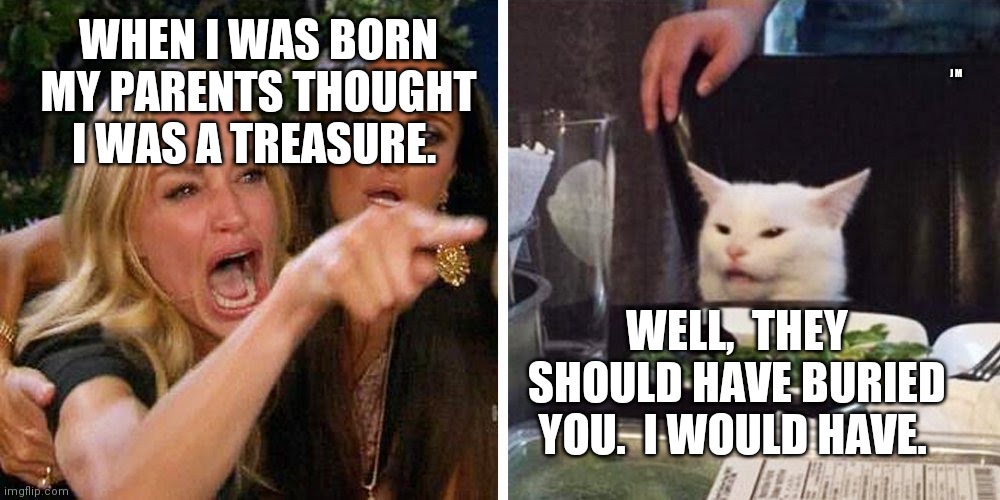 Smudge the cat | J M; WHEN I WAS BORN MY PARENTS THOUGHT I WAS A TREASURE. WELL,  THEY SHOULD HAVE BURIED YOU.  I WOULD HAVE. | image tagged in smudge the cat | made w/ Imgflip meme maker