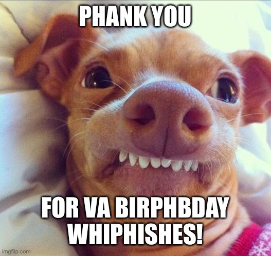 tuna dog | PHANK YOU; FOR VA BIRPHBDAY WHIPHISHES! | image tagged in tuna dog | made w/ Imgflip meme maker