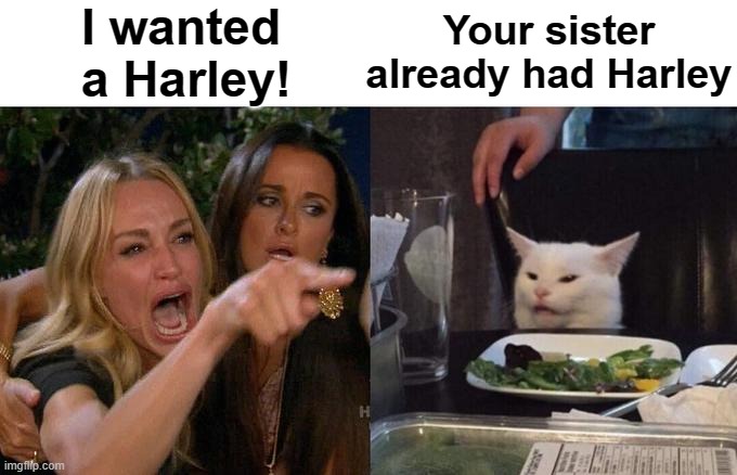 Woman Yelling At Cat Meme | I wanted a Harley! Your sister already had Harley | image tagged in memes,woman yelling at cat | made w/ Imgflip meme maker