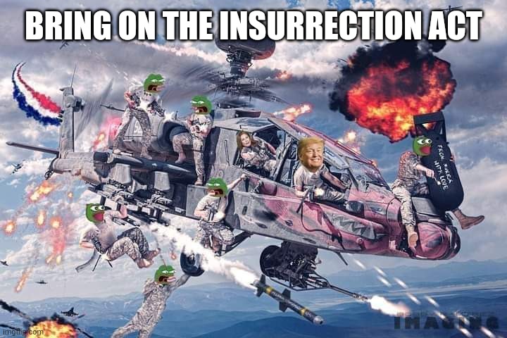 MAGA MEME PATRIOTS: Insurrection Act & Martial Law Election Steal War -  Salty Army Ready - Imgflip