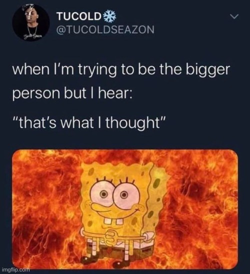 its true though | image tagged in spongebob | made w/ Imgflip meme maker