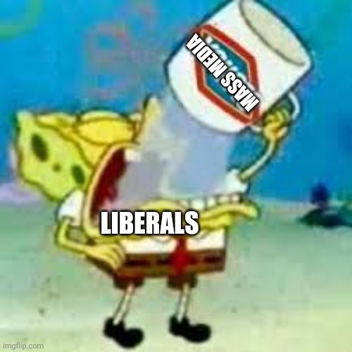 spongebob chugs bleach | LIBERALS MASS MEDIA | image tagged in spongebob chugs bleach | made w/ Imgflip meme maker