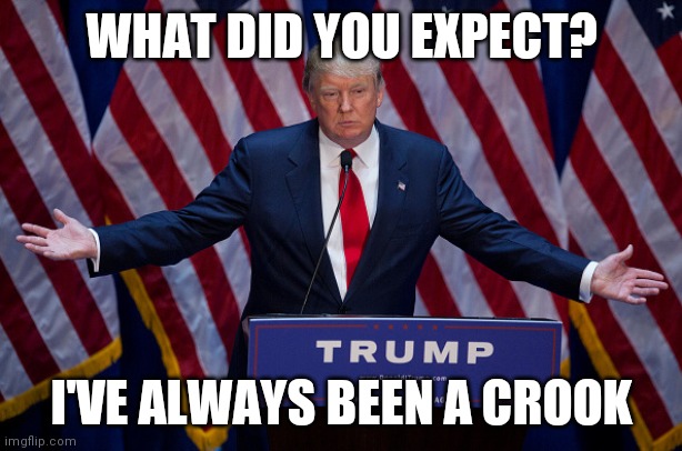 Crook | WHAT DID YOU EXPECT? I'VE ALWAYS BEEN A CROOK | image tagged in donald trump | made w/ Imgflip meme maker