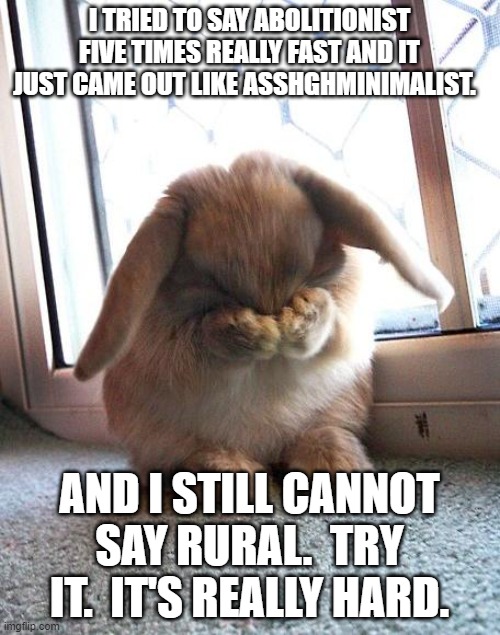 embarrassed bunny | I TRIED TO SAY ABOLITIONIST FIVE TIMES REALLY FAST AND IT JUST CAME OUT LIKE ASSHGHMINIMALIST. AND I STILL CANNOT SAY RURAL.  TRY IT.  IT'S REALLY HARD. | image tagged in embarrassed bunny | made w/ Imgflip meme maker