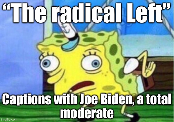 Yuh huh | “The radical Left”; Captions with Joe Biden, a total
moderate | image tagged in memes,mocking spongebob | made w/ Imgflip meme maker
