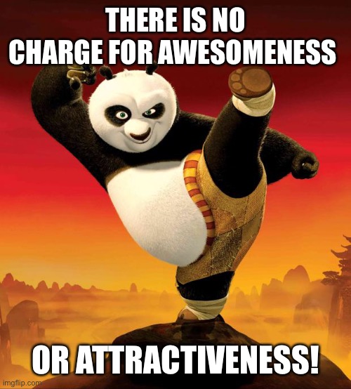 No charge for awesomeness | THERE IS NO CHARGE FOR AWESOMENESS; OR ATTRACTIVENESS! | image tagged in kung fu panda | made w/ Imgflip meme maker