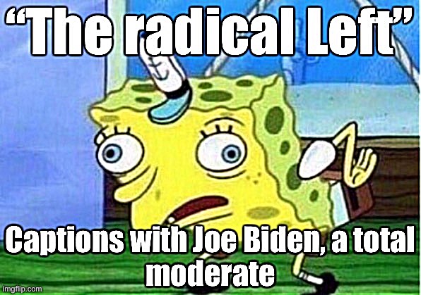 Get ready for “the Radical Left” to be re-defined as whatever Democrat is currently in office | image tagged in joe biden,conservative logic | made w/ Imgflip meme maker