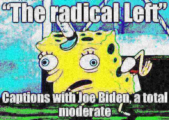 Joe Biden the radical left Blank Meme Template