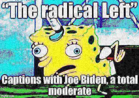 You will see this repeatedly for the next 4-8 years no doubt | image tagged in joe biden the radical left | made w/ Imgflip meme maker