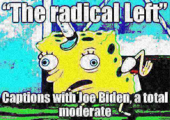Joe Biden The radical Left 2 Blank Meme Template