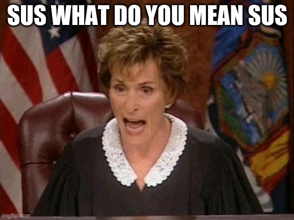 Every among us player | SUS WHAT DO YOU MEAN SUS | image tagged in judge judy,among us,among us memes | made w/ Imgflip meme maker
