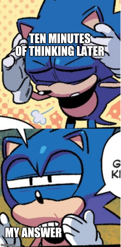 sonic boi | TEN MINUTES OF THINKING LATER; MY ANSWER | image tagged in sonic boi | made w/ Imgflip meme maker