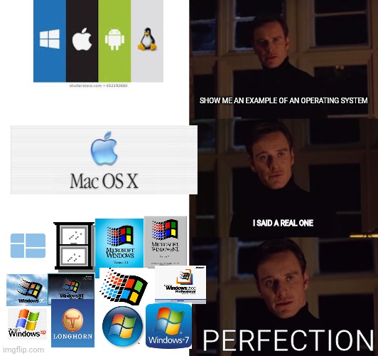 OK... | SHOW ME AN EXAMPLE OF AN OPERATING SYSTEM; I SAID A REAL ONE; PERFECTION | image tagged in perfection,microsoft | made w/ Imgflip meme maker