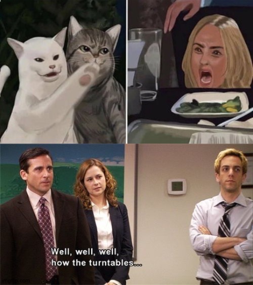 image tagged in cat yelling at woman,how the turntables | made w/ Imgflip meme maker