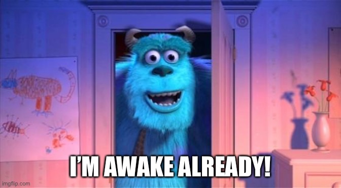 Hello Sully | I’M AWAKE ALREADY! | image tagged in hello sully | made w/ Imgflip meme maker