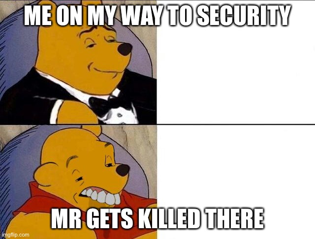 whinnie the pooh | ME ON MY WAY TO SECURITY MR GETS KILLED THERE | image tagged in whinnie the pooh | made w/ Imgflip meme maker