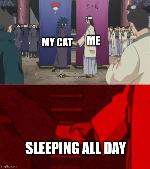 And that is a fact | ME; MY CAT; SLEEPING ALL DAY | image tagged in naruto handshake meme template | made w/ Imgflip meme maker