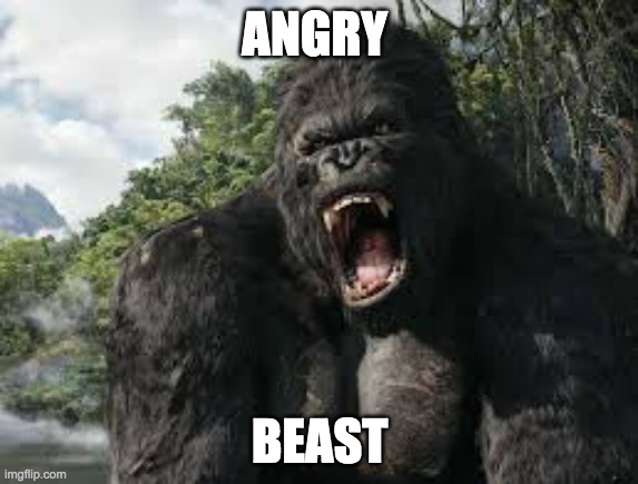 king kong | ANGRY; BEAST | image tagged in king kong | made w/ Imgflip meme maker