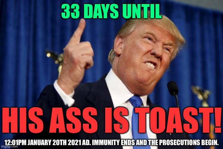 Trump is toast | 33 DAYS UNTIL; HIS ASS IS TOAST! 12:01PM JANUARY 20TH 2021 AD. IMMUNITY ENDS AND THE PROSECUTIONS BEGIN. | image tagged in trump finger | made w/ Imgflip meme maker