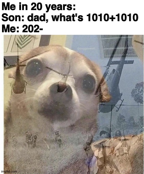 PTSD Chihuahua |  Me in 20 years:
Son: dad, what's 1010+1010
Me: 202- | image tagged in ptsd chihuahua | made w/ Imgflip meme maker