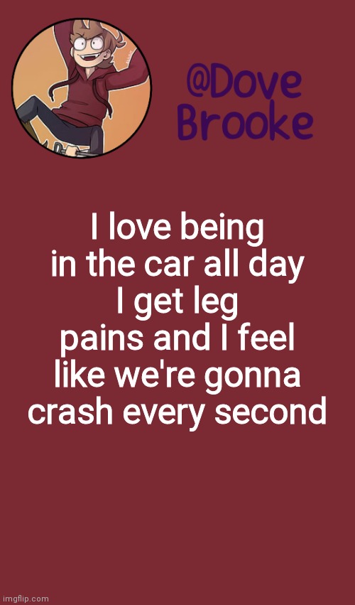 Perfection | I love being in the car all day
I get leg pains and I feel like we're gonna crash every second | image tagged in dove's new announcement template | made w/ Imgflip meme maker