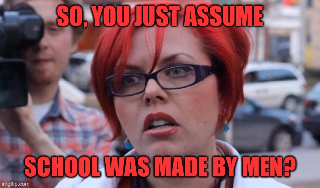 Angry Feminist | SO, YOU JUST ASSUME SCHOOL WAS MADE BY MEN? | image tagged in angry feminist | made w/ Imgflip meme maker
