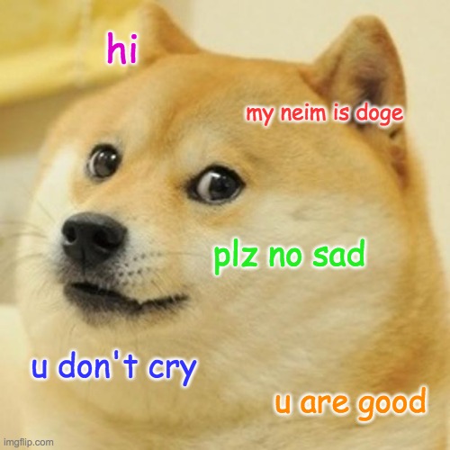 Doge loves you | hi; my neim is doge; plz no sad; u don't cry; u are good | image tagged in memes,doge | made w/ Imgflip meme maker