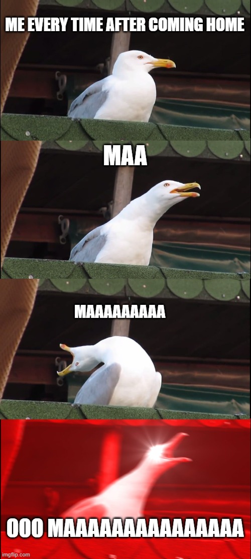 Inhaling Seagull Meme | ME EVERY TIME AFTER COMING HOME; MAA; MAAAAAAAAA; OOO MAAAAAAAAAAAAAAA | image tagged in memes,inhaling seagull | made w/ Imgflip meme maker