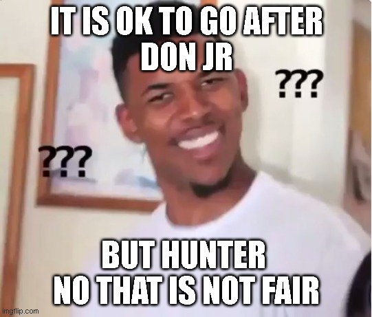 confused nick young | IT IS OK TO GO AFTER
DON JR; BUT HUNTER 
NO THAT IS NOT FAIR | image tagged in confused nick young | made w/ Imgflip meme maker