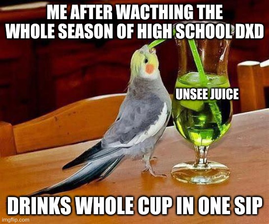 bbbbbbbbbbbbbbiiiiiiiiiiiiiiiiiiiiiiggggggggggggg sip |  ME AFTER WACTHING THE WHOLE SEASON OF HIGH SCHOOL DXD; UNSEE JUICE; DRINKS WHOLE CUP IN ONE SIP | image tagged in big sip | made w/ Imgflip meme maker