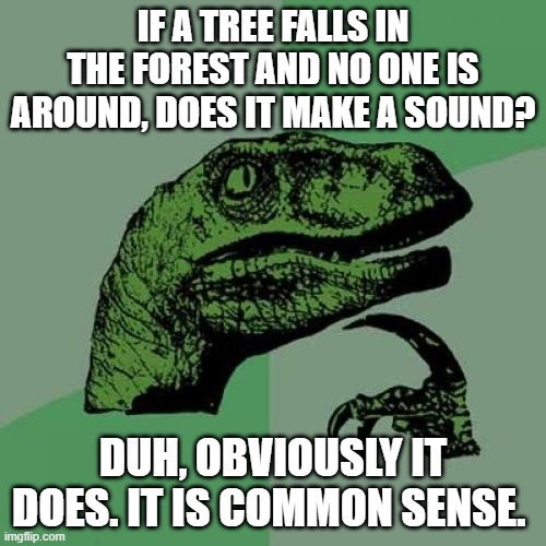 Philosoraptor | IF A TREE FALLS IN THE FOREST AND NO ONE IS AROUND, DOES IT MAKE A SOUND? DUH, OBVIOUSLY IT DOES. IT IS COMMON SENSE. | image tagged in memes,philosoraptor | made w/ Imgflip meme maker